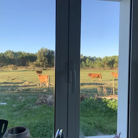 Sun, Sea, Nature Holiday home
