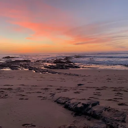 Sun, Sea, Nature Holiday home *