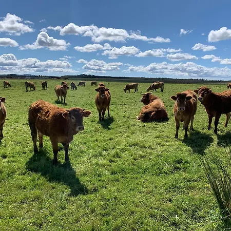 Holiday home Sun, Sea, Nature *